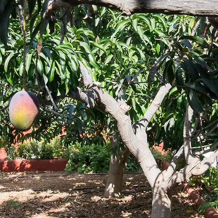 Ferienhaus Family House & Private Pool Puertito de Guimar